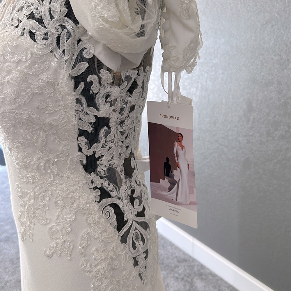 Pronovias Marisa Wedding Dress - Picture 7 of 13